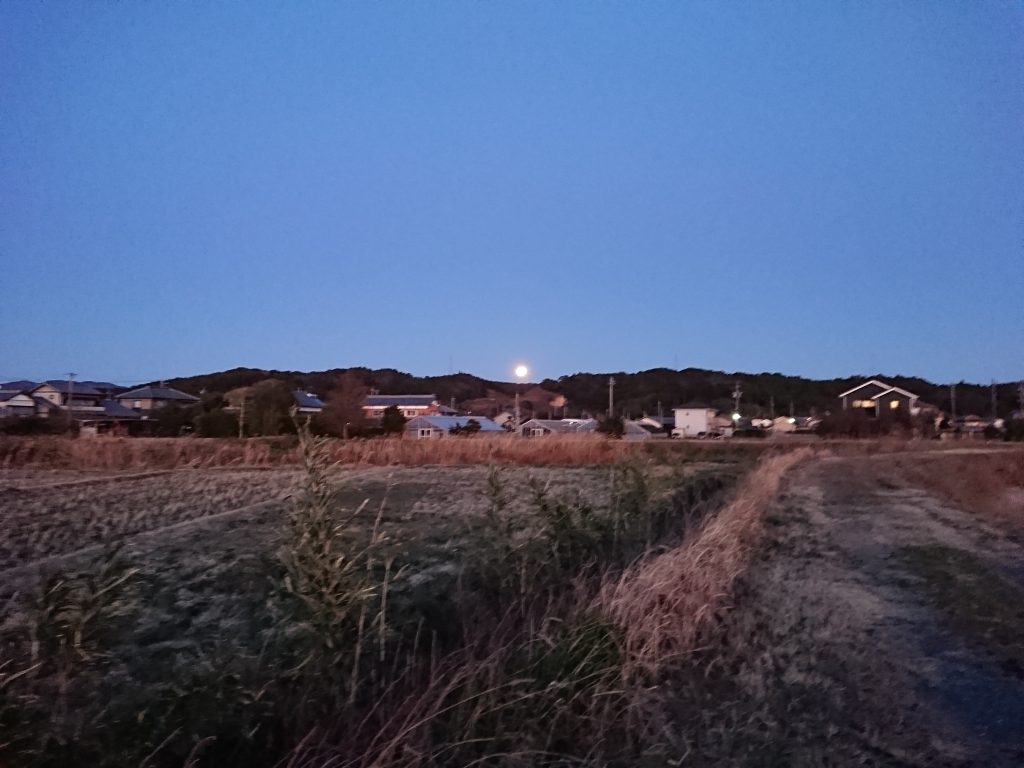 夕暮れの月