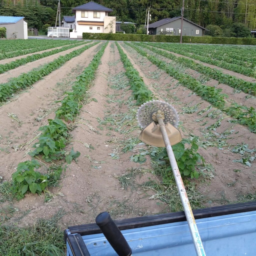 今年も酷暑となりました